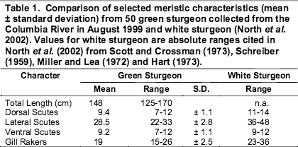 COSEWIC &#8211; Green Sturgeon